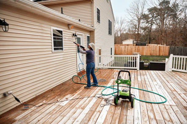 Best Pressure Washing Near Me  in Hainesvle, IL