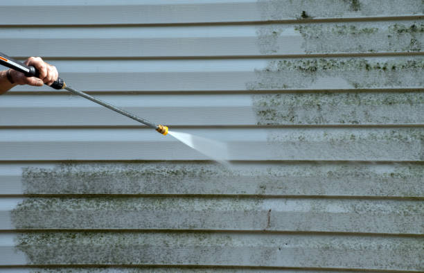 Best Commercial Building Pressure Washing  in Hainesvle, IL