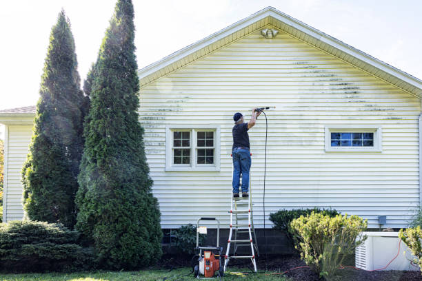 Best Pressure Washing Near Me  in Hainesvle, IL