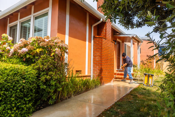 Best Deck Cleaning Services  in Hainesvle, IL