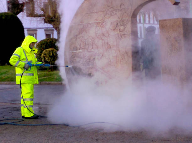 Best Roof Power Washing Services  in Hainesvle, IL