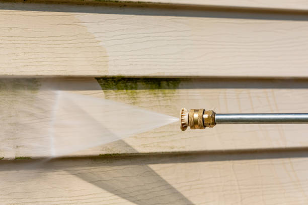 Best Commercial Pressure Washing  in Hainesvle, IL