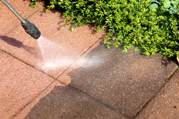 Best Exterior Home Cleaning  in Hainesvle, IL